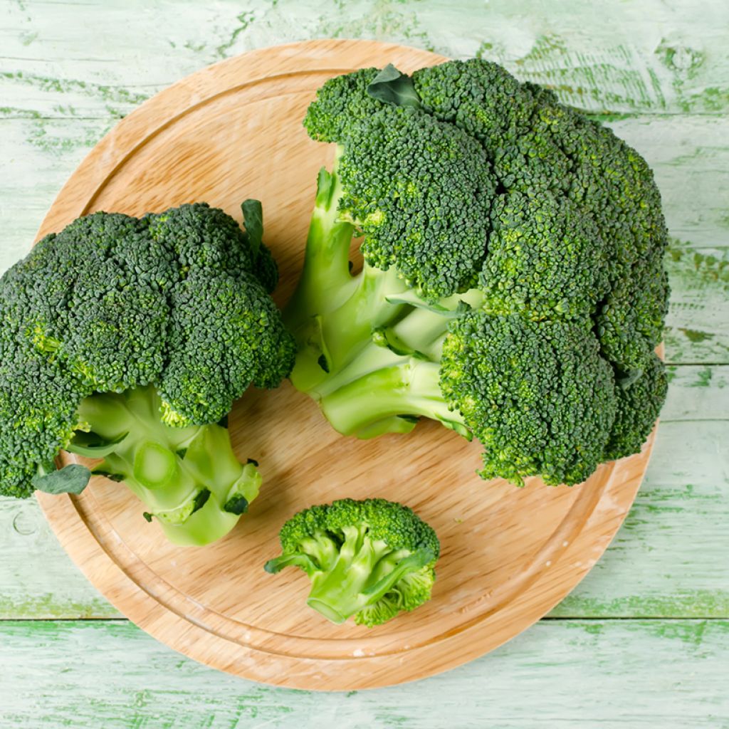 Brócolos Atlantis F1 NT