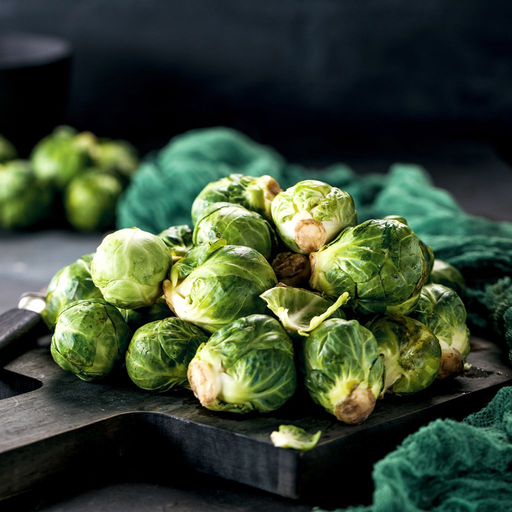 Couve-de-bruxelas de Rosny