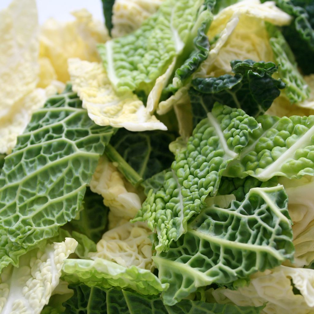 Couve-lombarda Aubervilliers