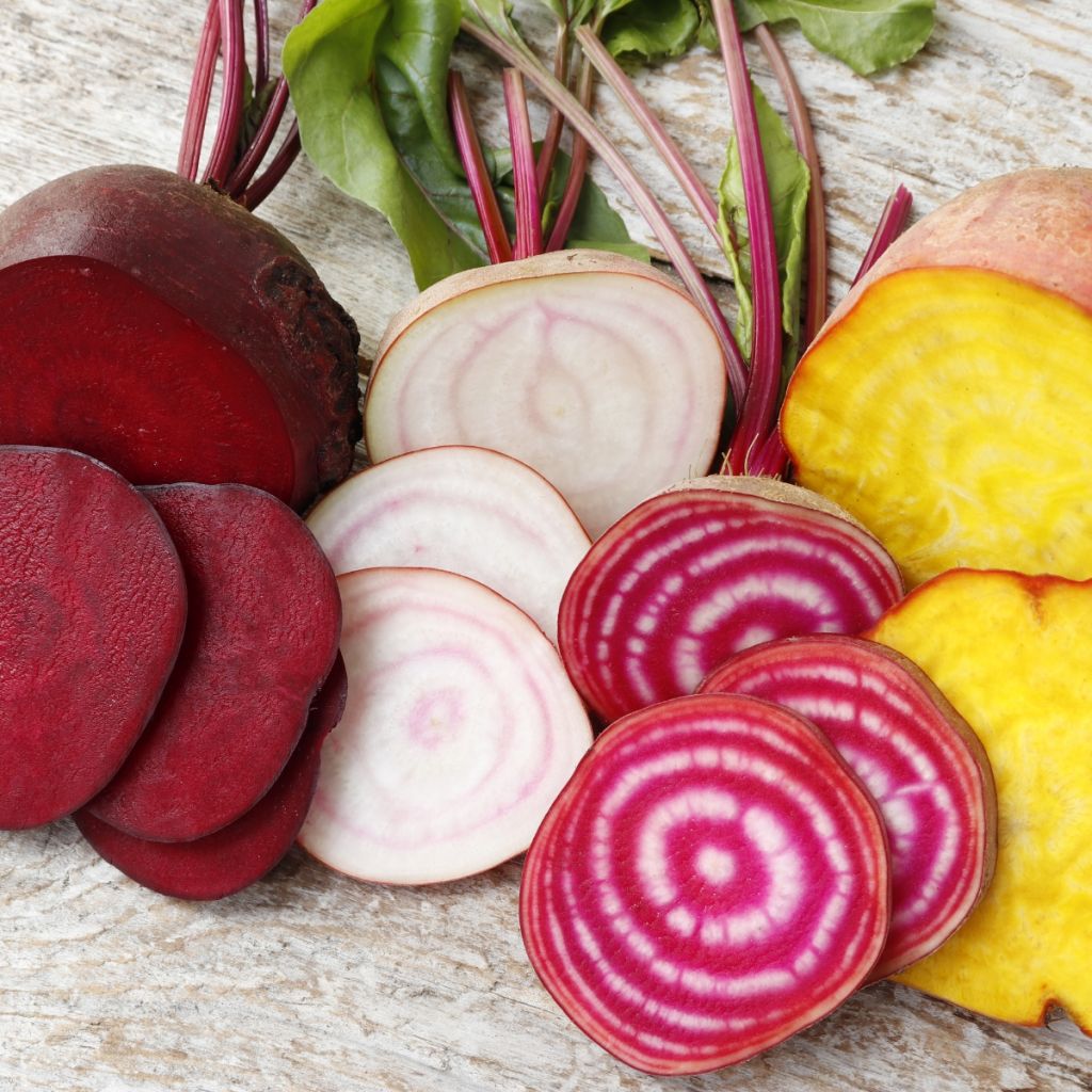 Coleção de 4 beterrabas coloridas biológicas