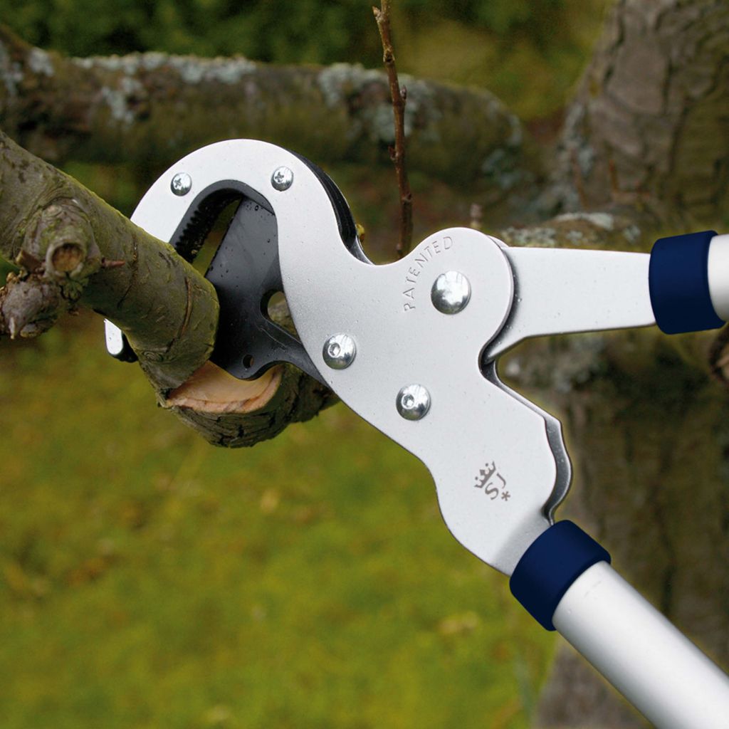 Coupe-branche à guillotine Spear & Jackson