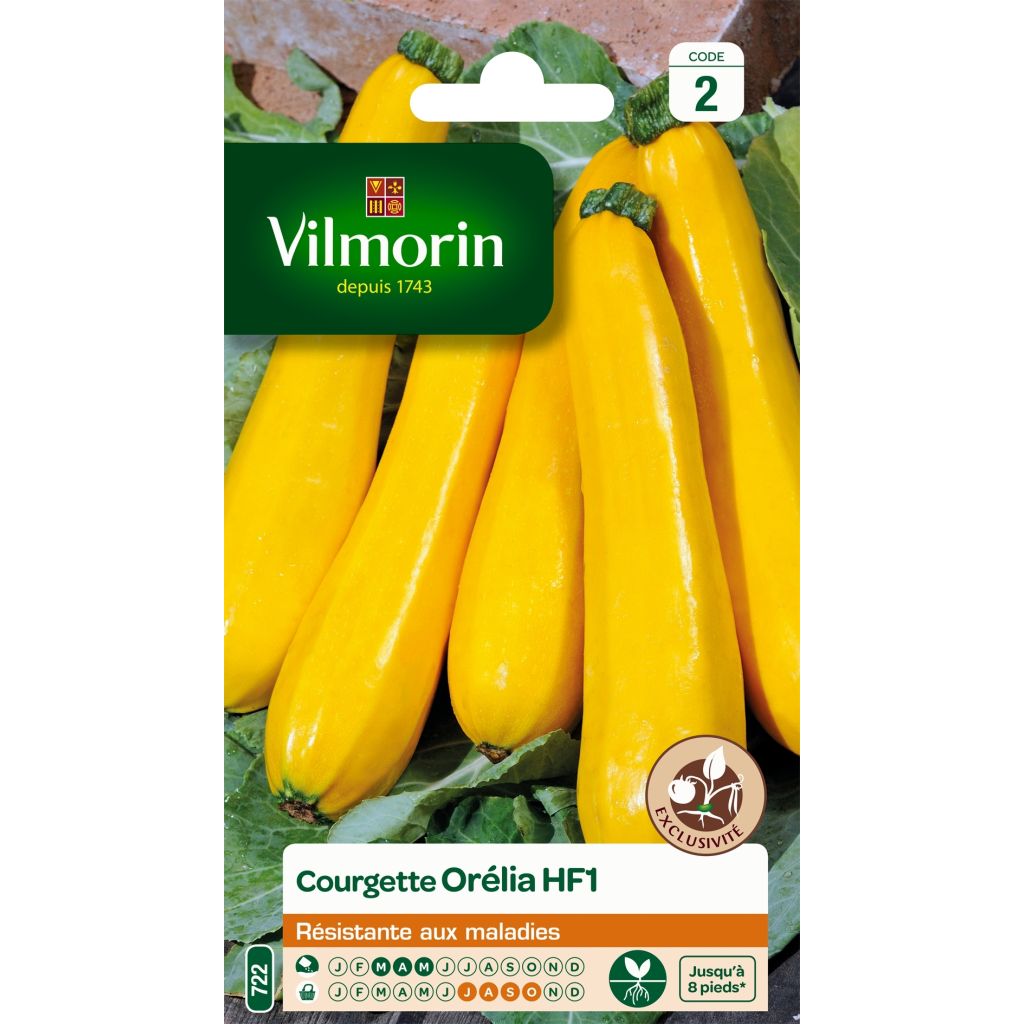 Courgette Orelia F1 amarela Vilmorin