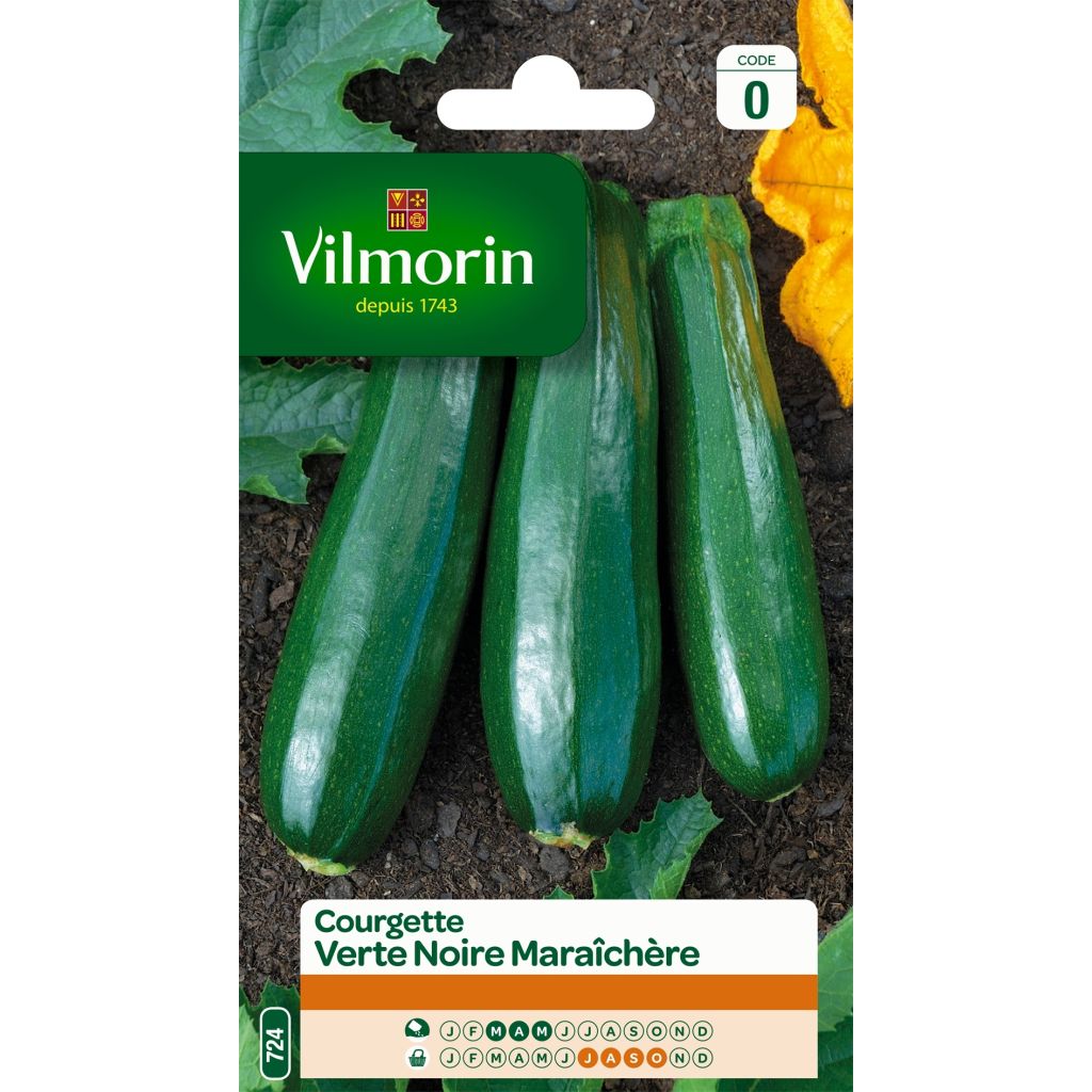 Courgette verde preta para horta Vilmorin