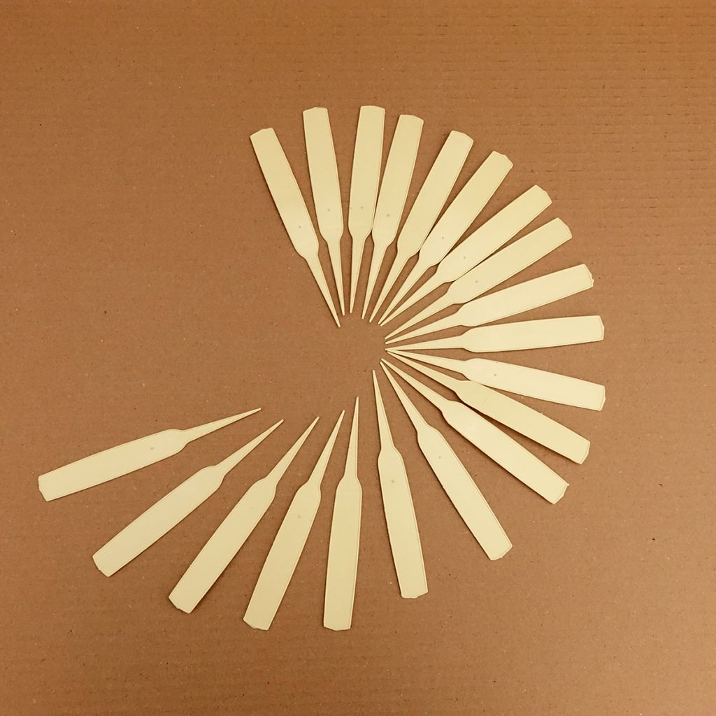 Etiqueta estreita para plantar, marfim