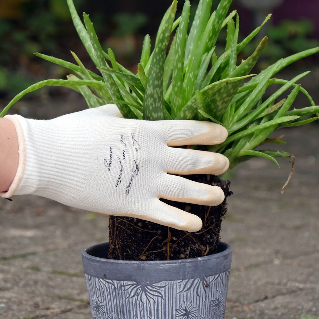 Gants de jardin légers parfumés Rostaing Nude coloris beige - différentes tailles disponibles