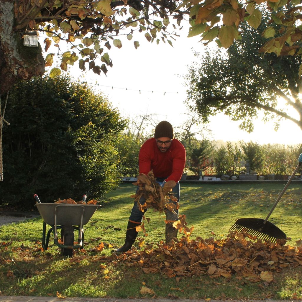 Luvas Rostaing para trabalhos pesados e poda, palma em couro, modelo Clôture, castanhas