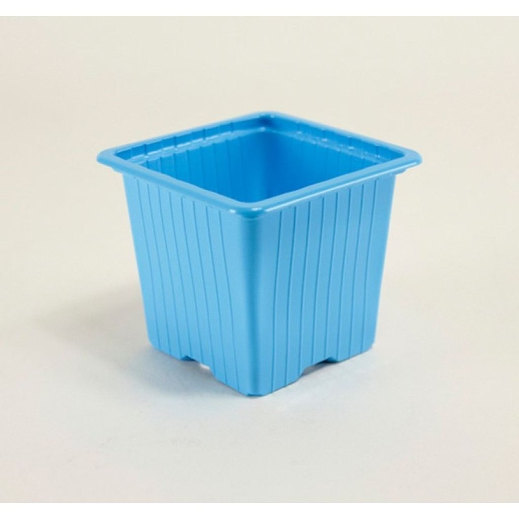 Vaso de multiplicação de cores variadas - vendido em lotes de 30