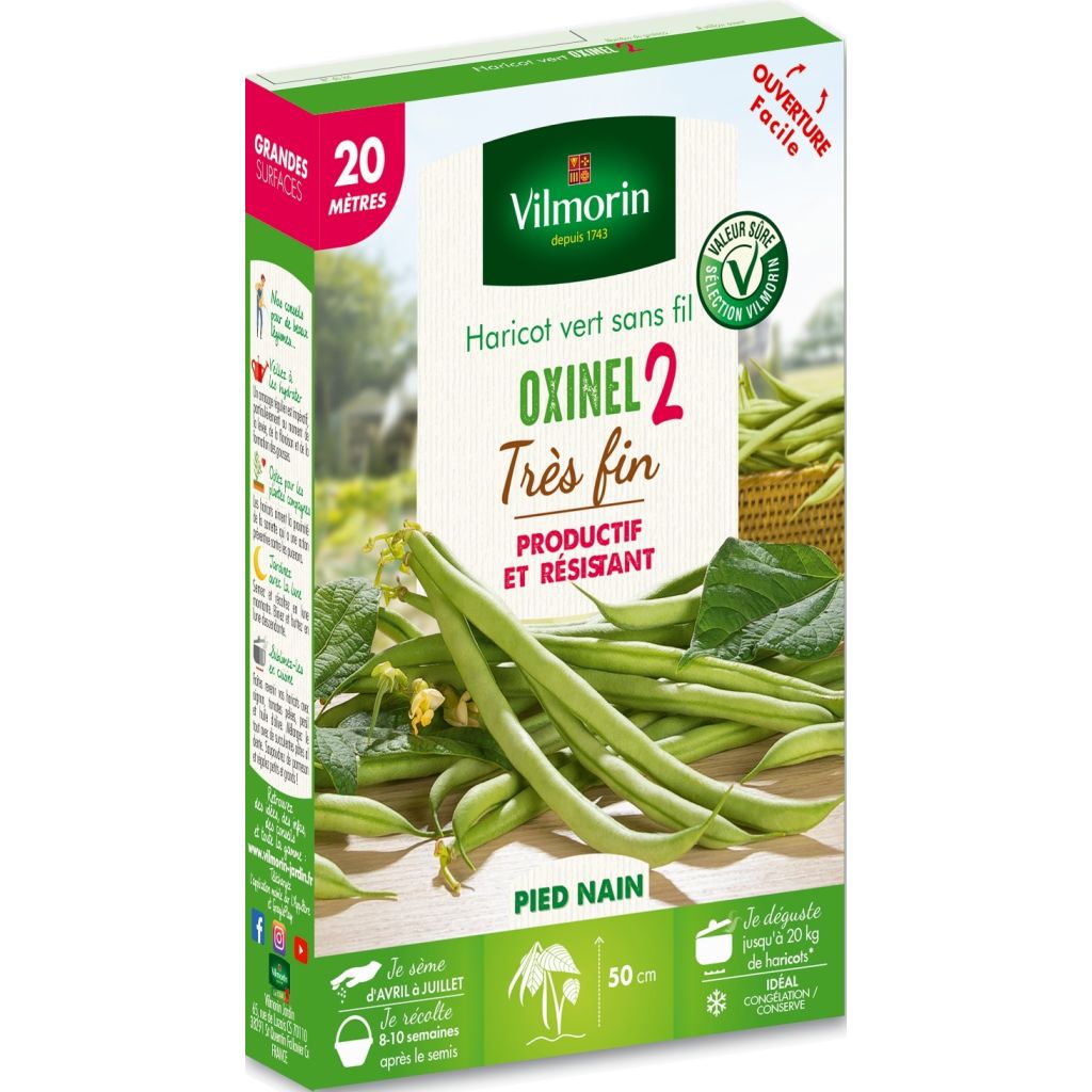 Feijão-verde Oxinel 2 Seleção Vilmorin