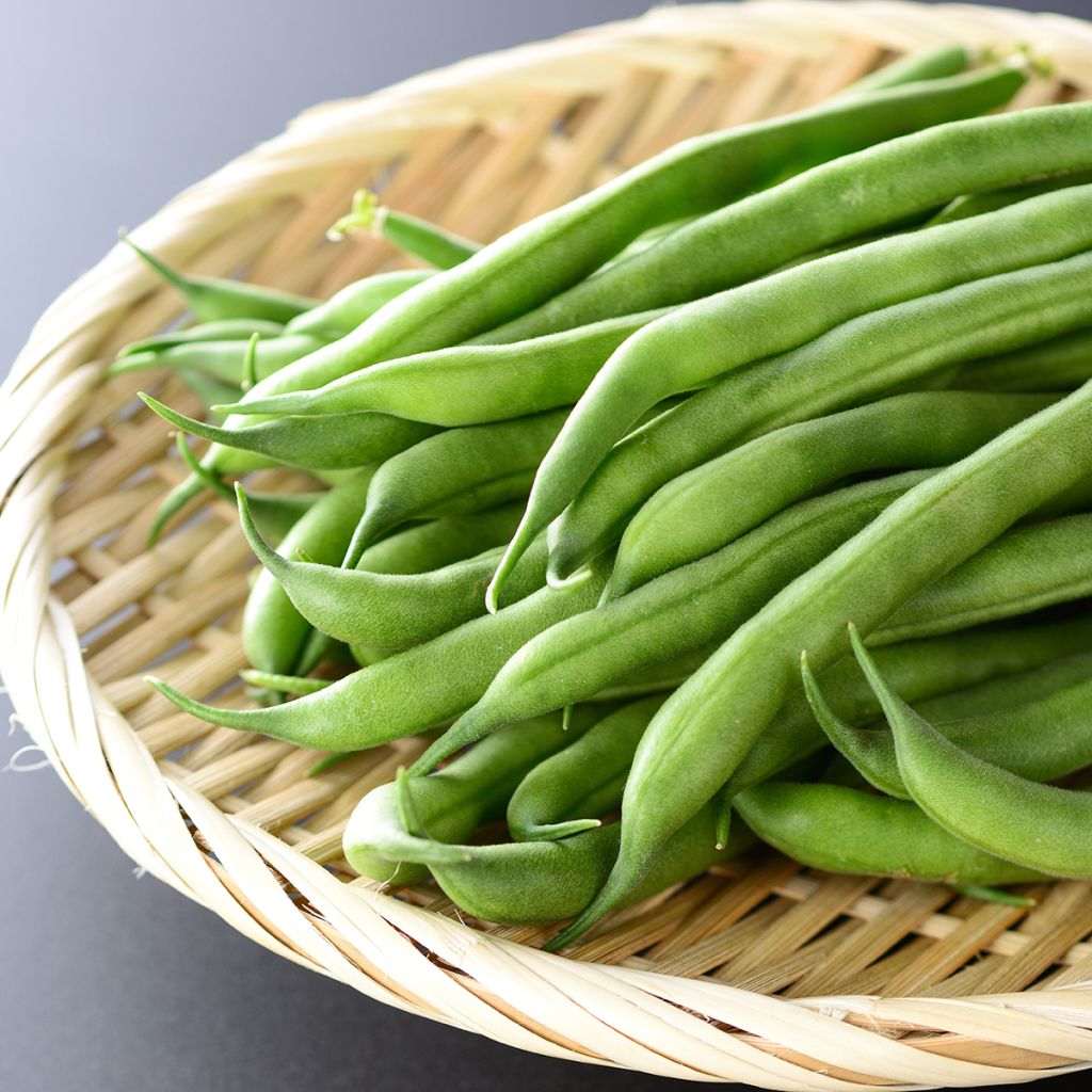 Feijão-anão mangetout Argus