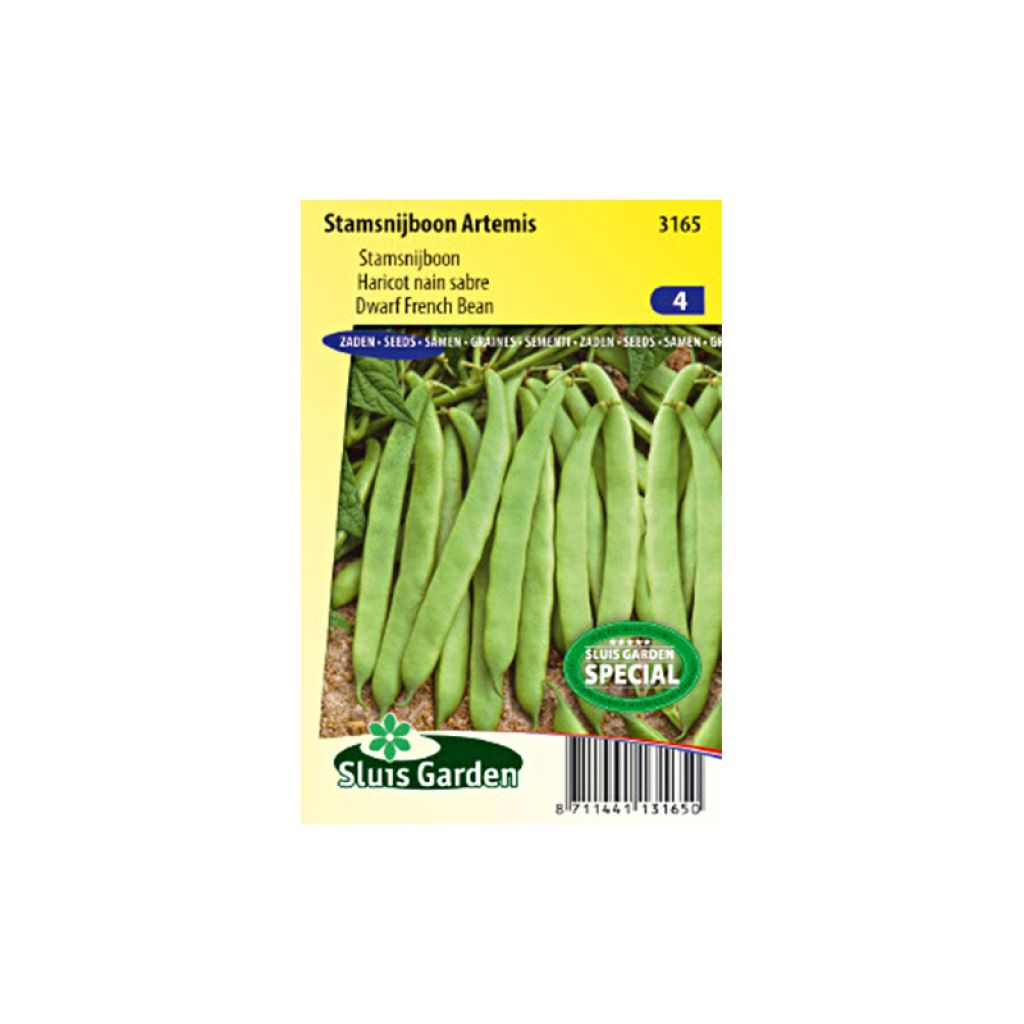 Haricot nain mangetout Artemis