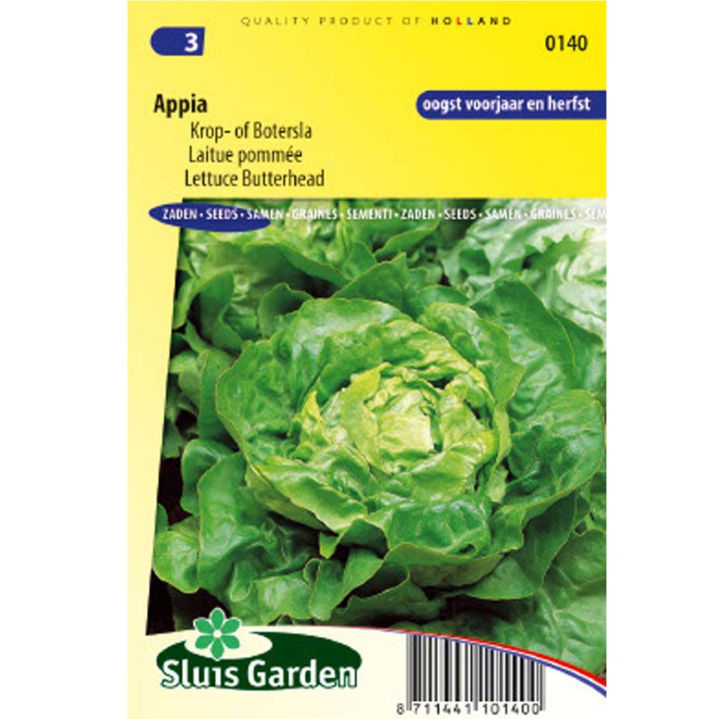 Alface-repolho Appia