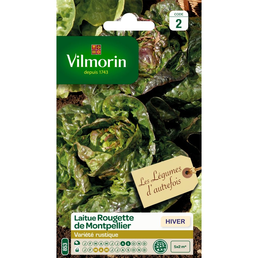 Alface gorda Rougette de Montpellier (sementes pretas) Vilmorin