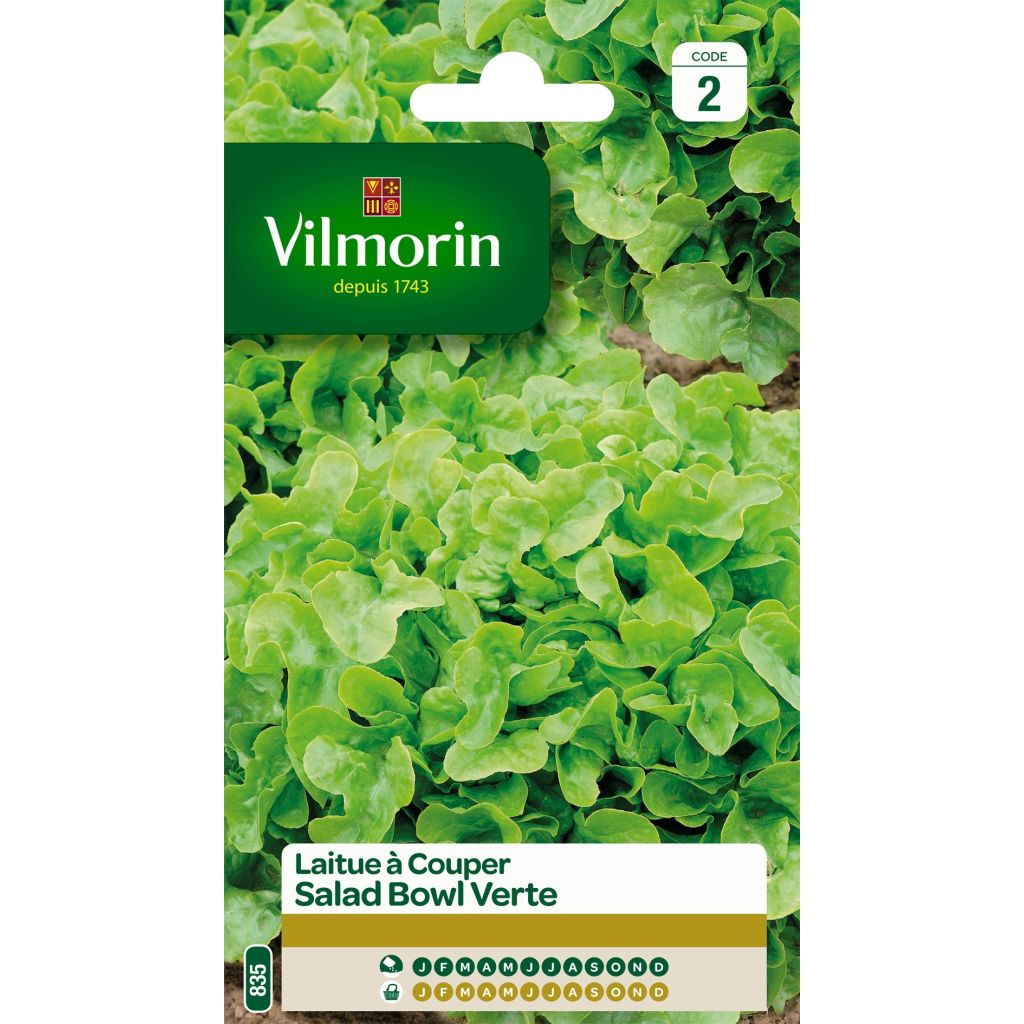 Alface para cortar Salad Bowl verde Vilmorin