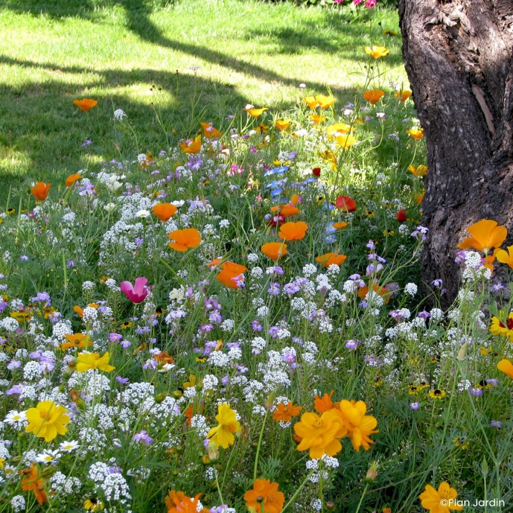 Mistura para pés de árvores