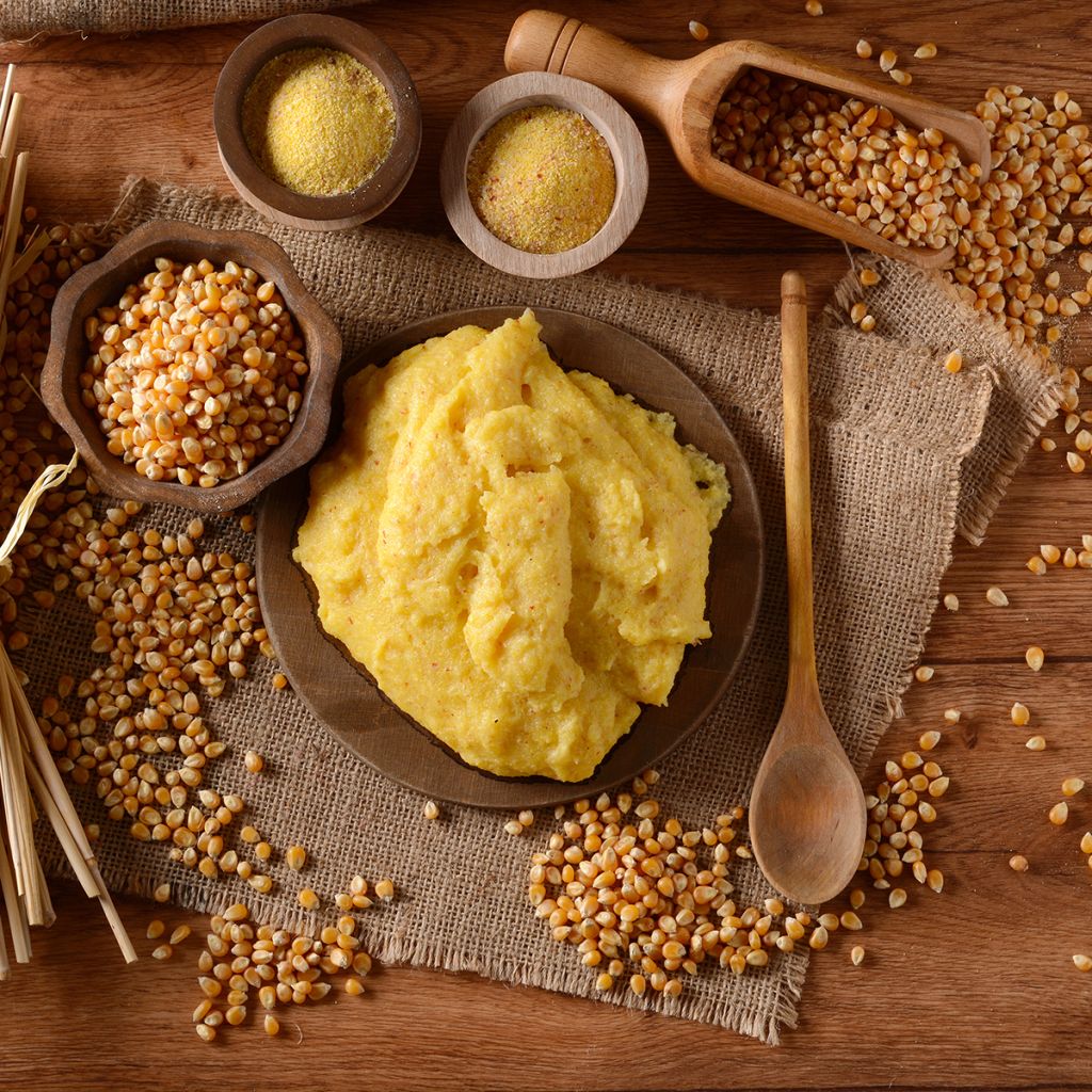 Milho para Polenta Bio Mergoscia - Ferme de Sainte Marthe