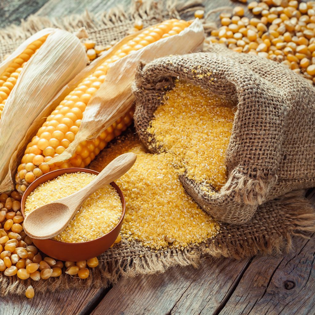 Milho para Polenta Bio Mergoscia - Ferme de Sainte Marthe