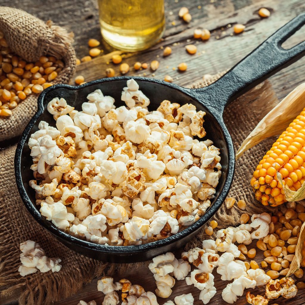 Milho para Pipocas Plomyk