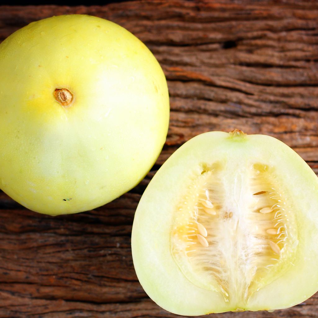 Melão Honey Dew - Ferme de Sainte Marthe Bio