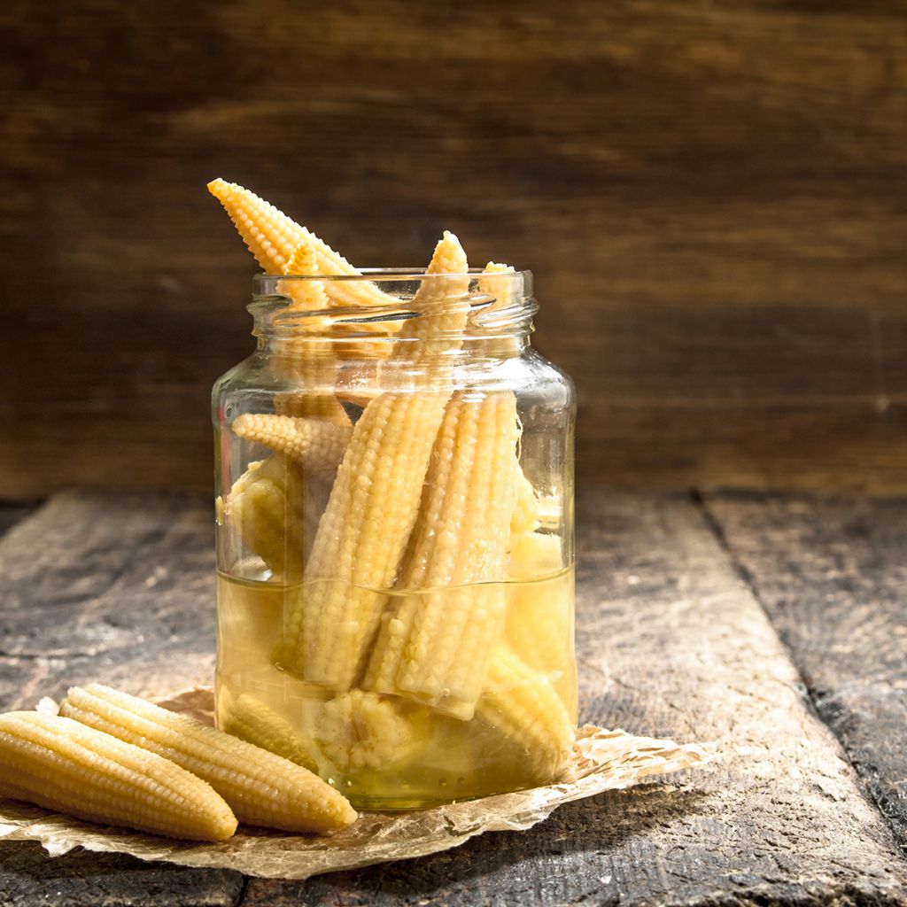 Milho-doce Mini Snobaby