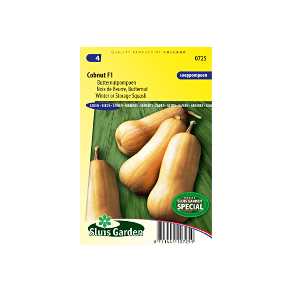 Noix de Beurre Butternut Cobnut F1 - Cucurbita Moschata 