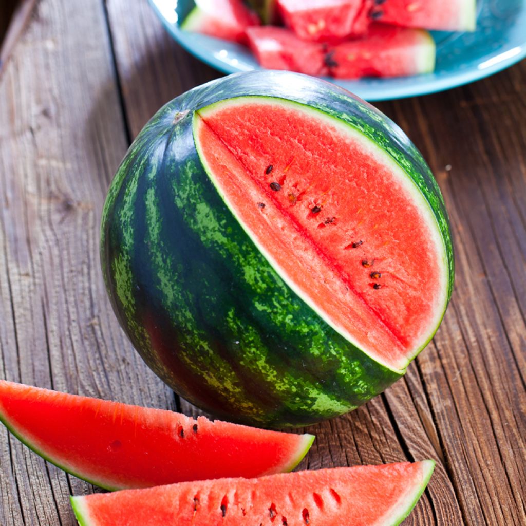Melancia Crimson Sweet Bio