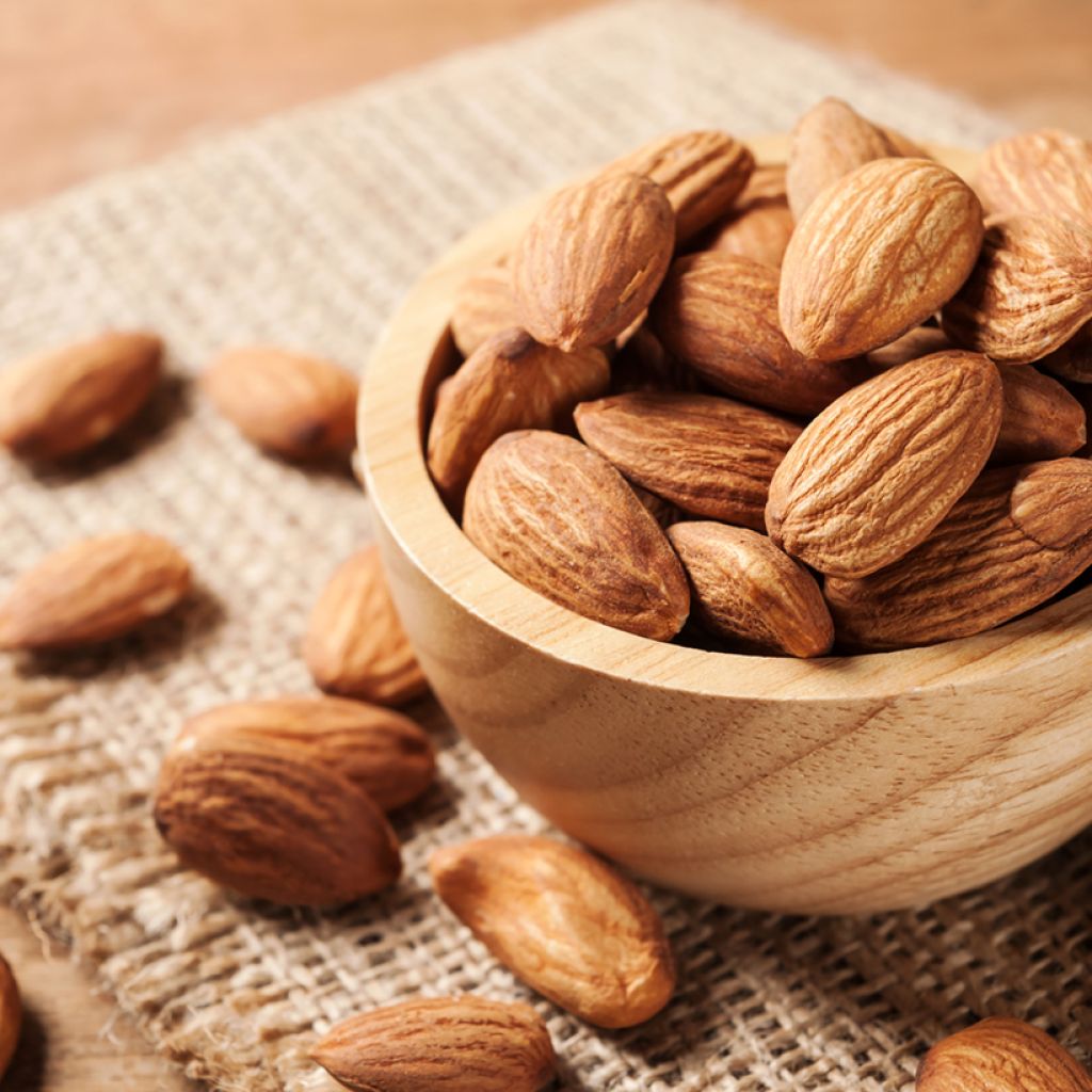 Amendoeira Desmayo Largueta - Prunus dulcis