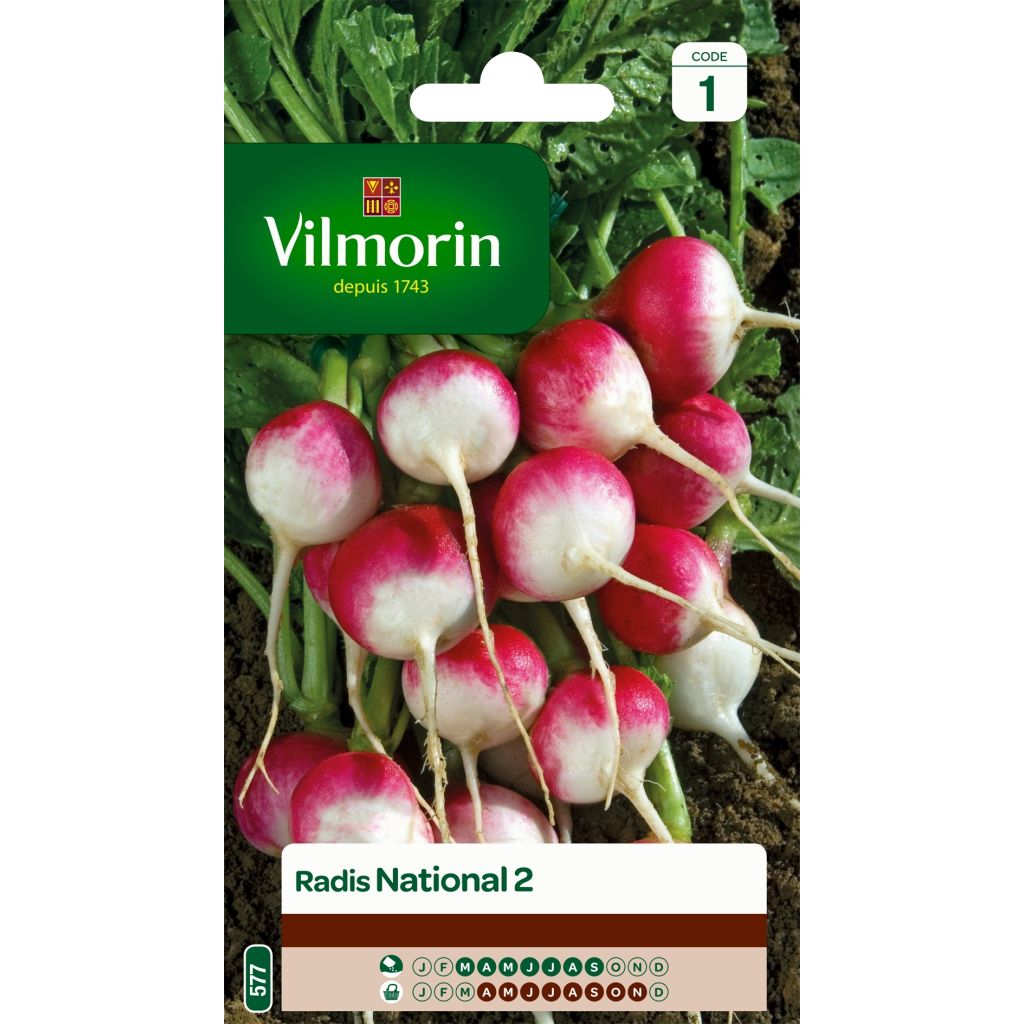 Rabanete National 2 Vilmorin