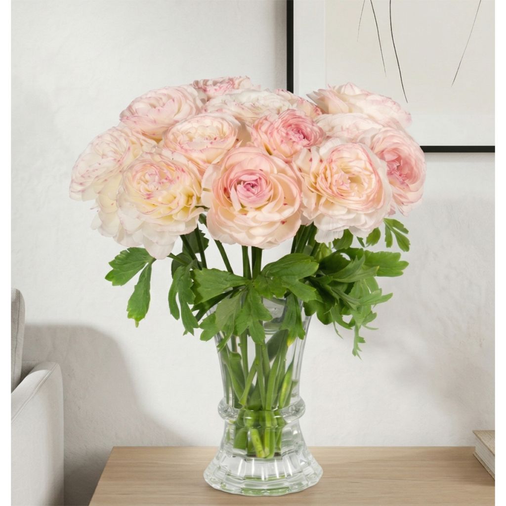 Ranúnculo Romance Orleans - Ranunculus asiaticus