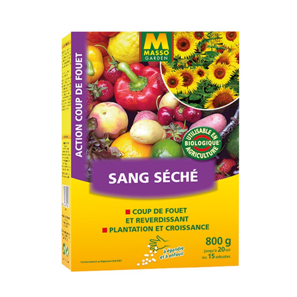 Sangue Seco UAB Masso Garden