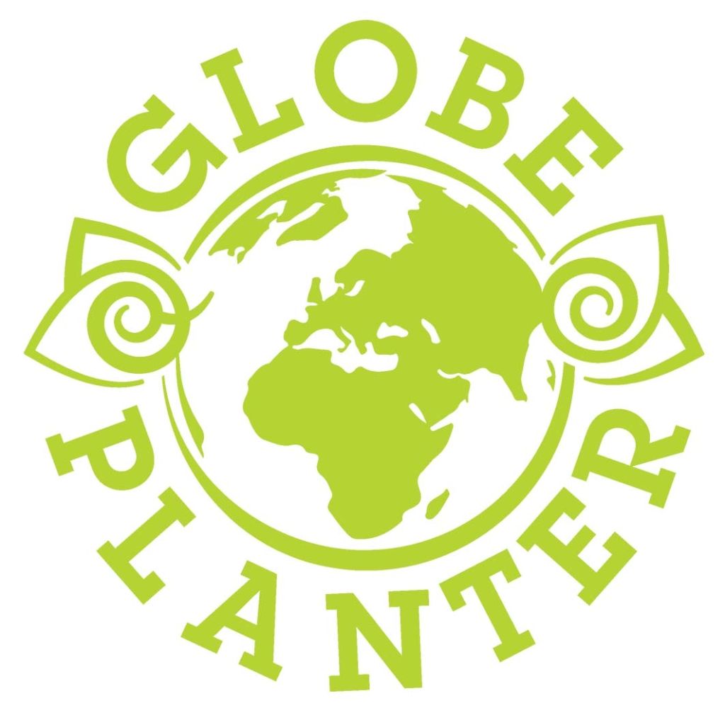 Sempervivum Chick Charms ® Berry Blues - Joubarbe hybride bleue violacée