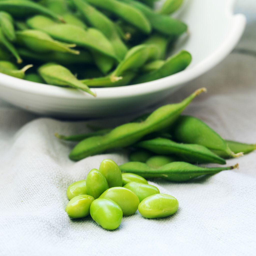 Soja da horta Fiskeby V