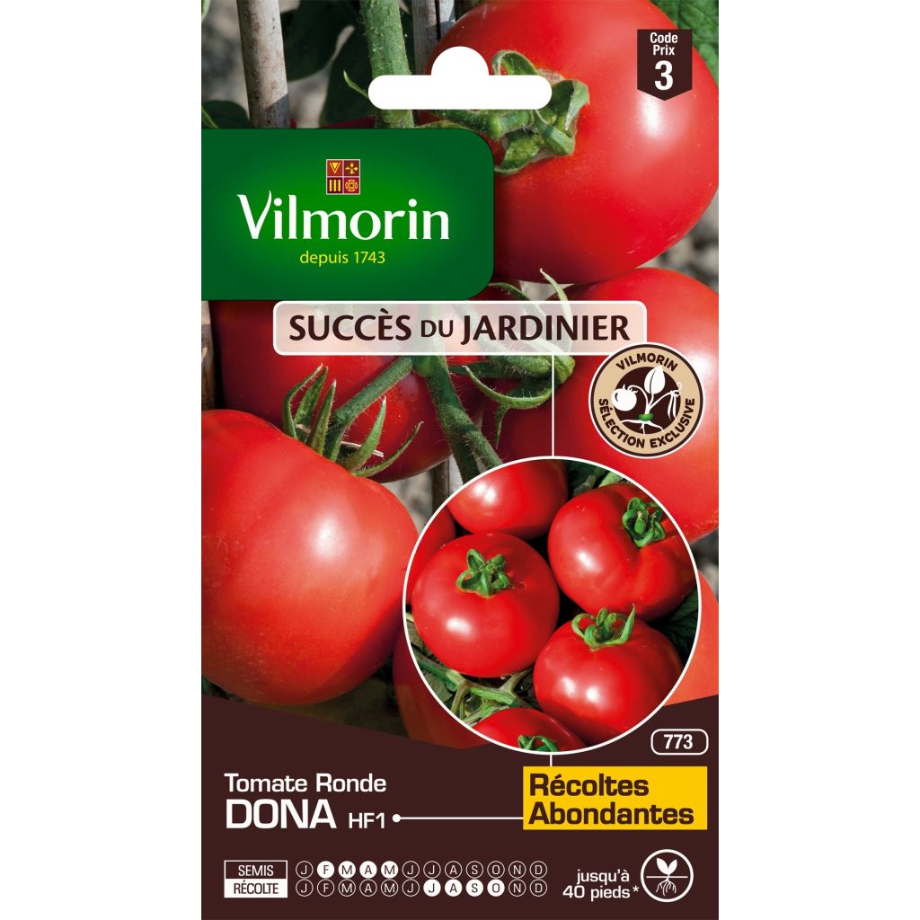 Tomate Dona F1 híbrido F1 Vilmorin