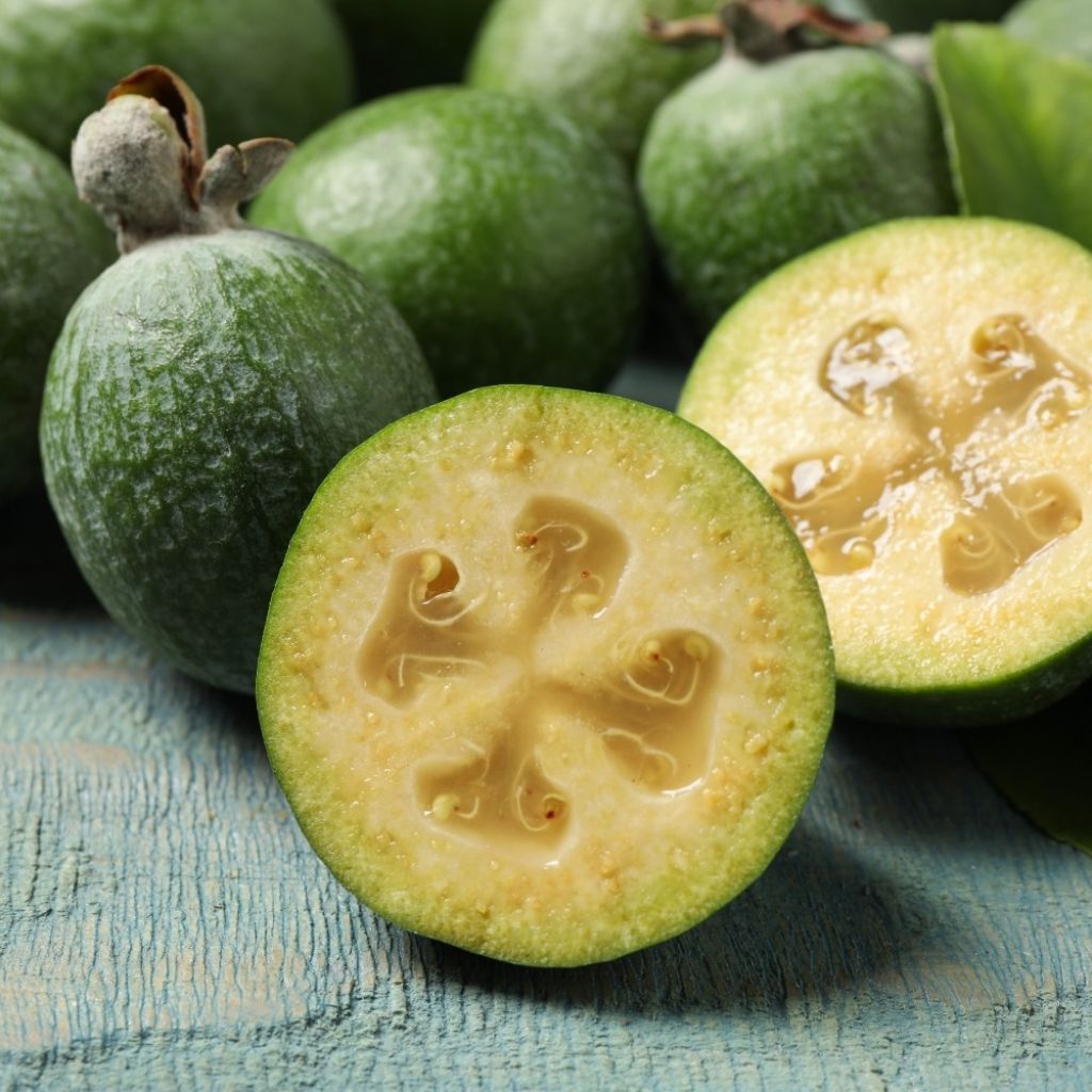 Acca sellowiana - Goiaba brasileira