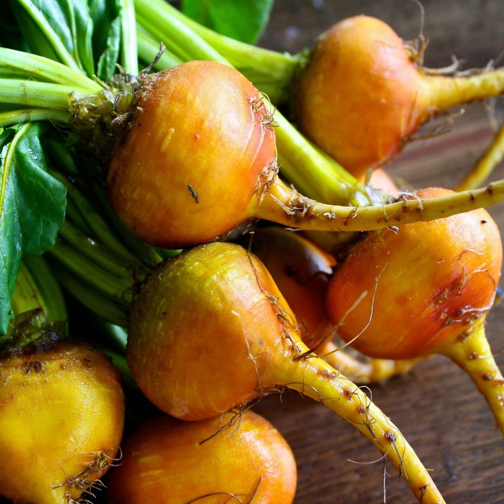 Betteraba Burpee's Golden