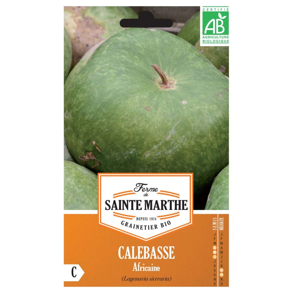 Curgete cabaça Africaine - Ferme de Sainte Marthe Bio