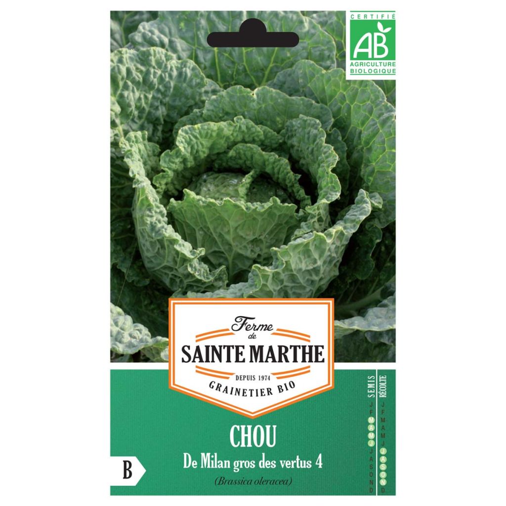 Couve-lombarda Gros des Vertus 4 - Ferme de Sainte Marthe Bio