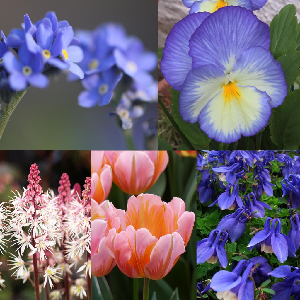 Coleção Primavera Pastel