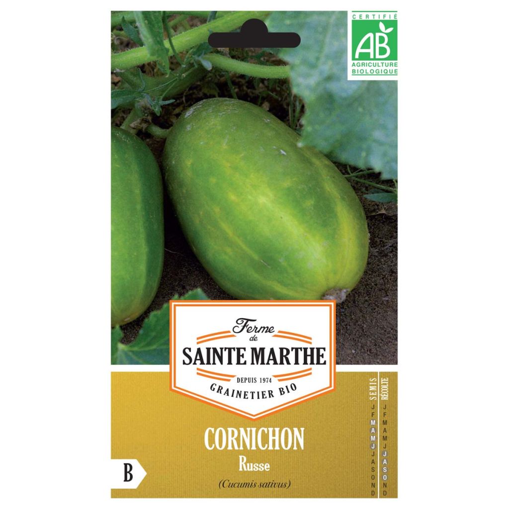 Cornichon Russe AB - Ferme de Ste Marthe