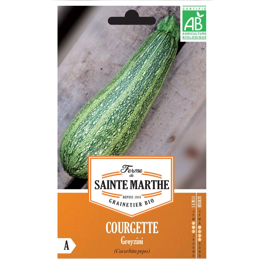 Courgette Greyzini - Ferme de Sainte Marthe Bio