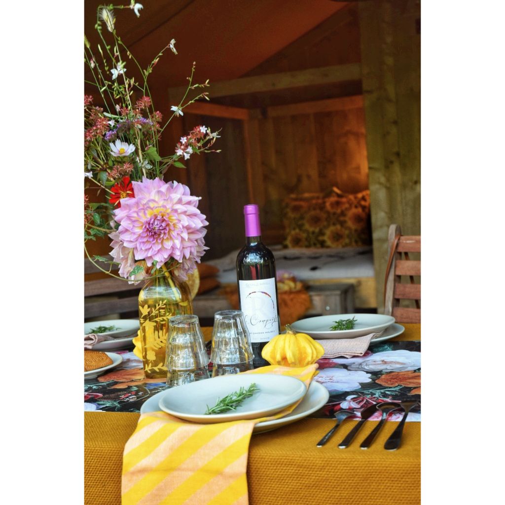 Dália gigante Kid's Climax