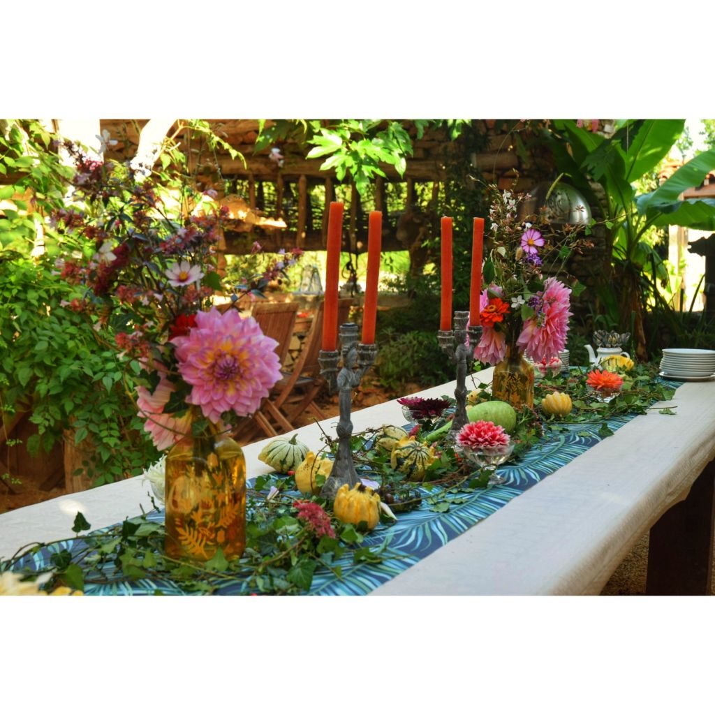 Dália gigante Kid's Climax