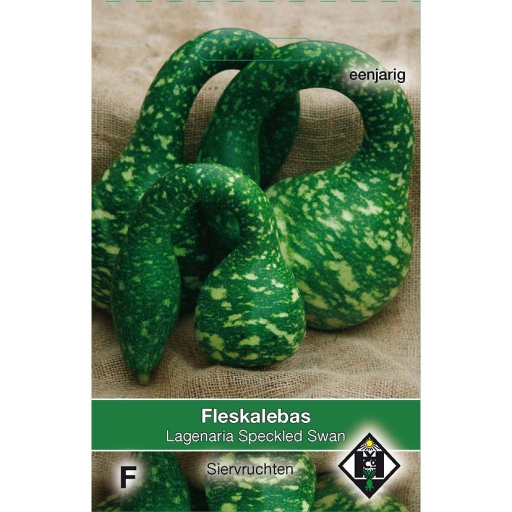 Cabaça Speckled Swan em sementes