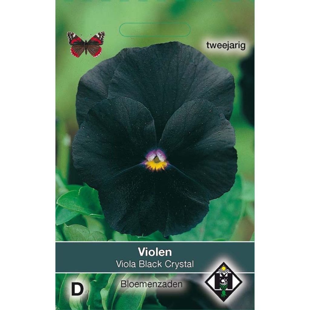 Amor-perfeito Black Cristal em sementes - Viola x wittrockiana