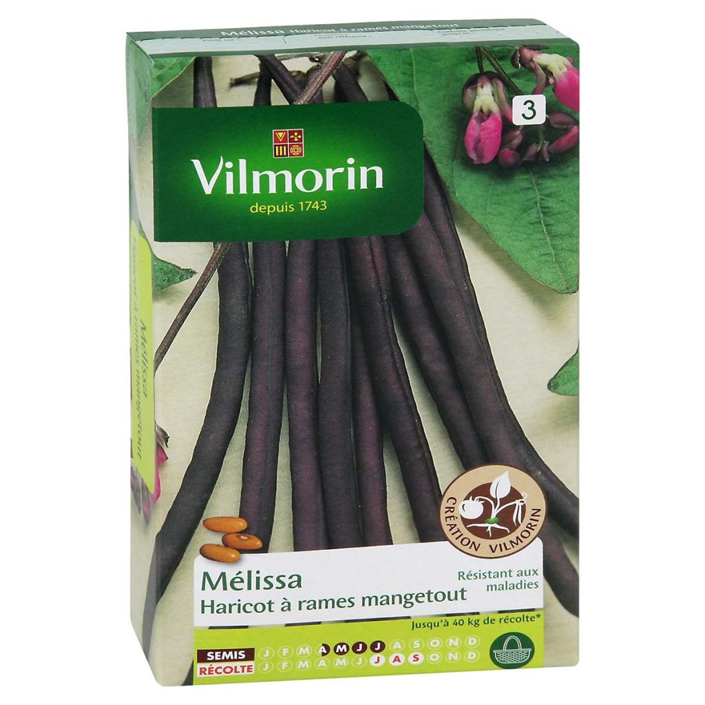 Feijão trepador mangetout Melissa Vilmorin