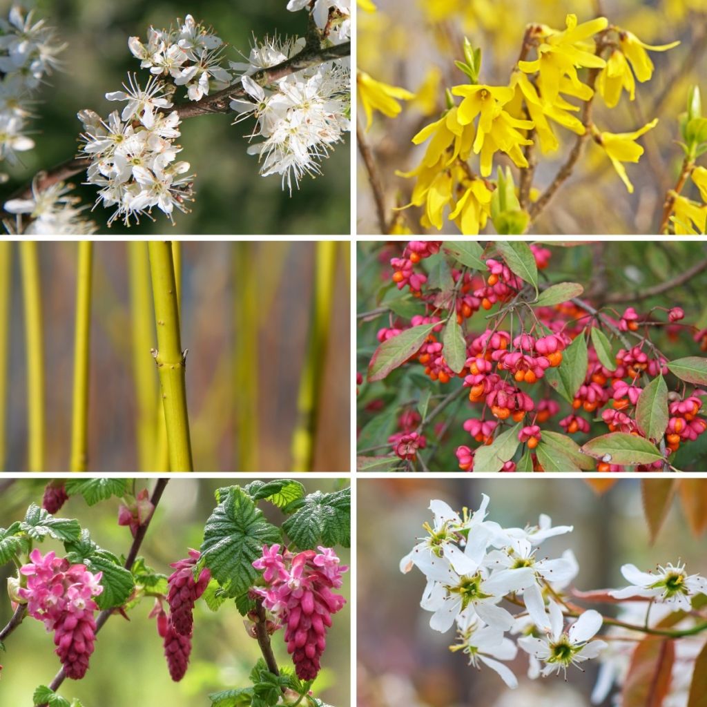 Kit de sebe das 4 estações Eco