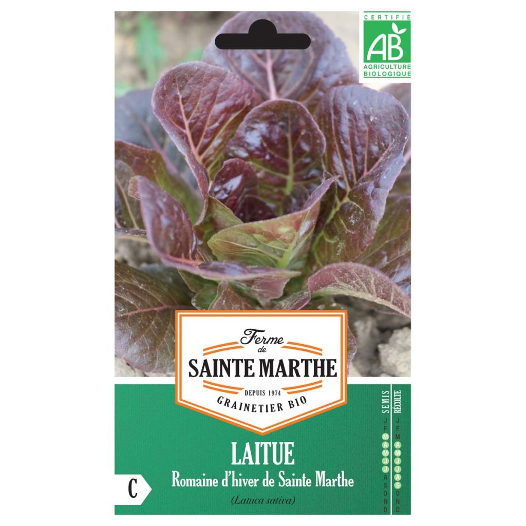 Laitue Romaine d'Hiver de Sainte-Marthe Bio - Ferme de Sainte Marthe
