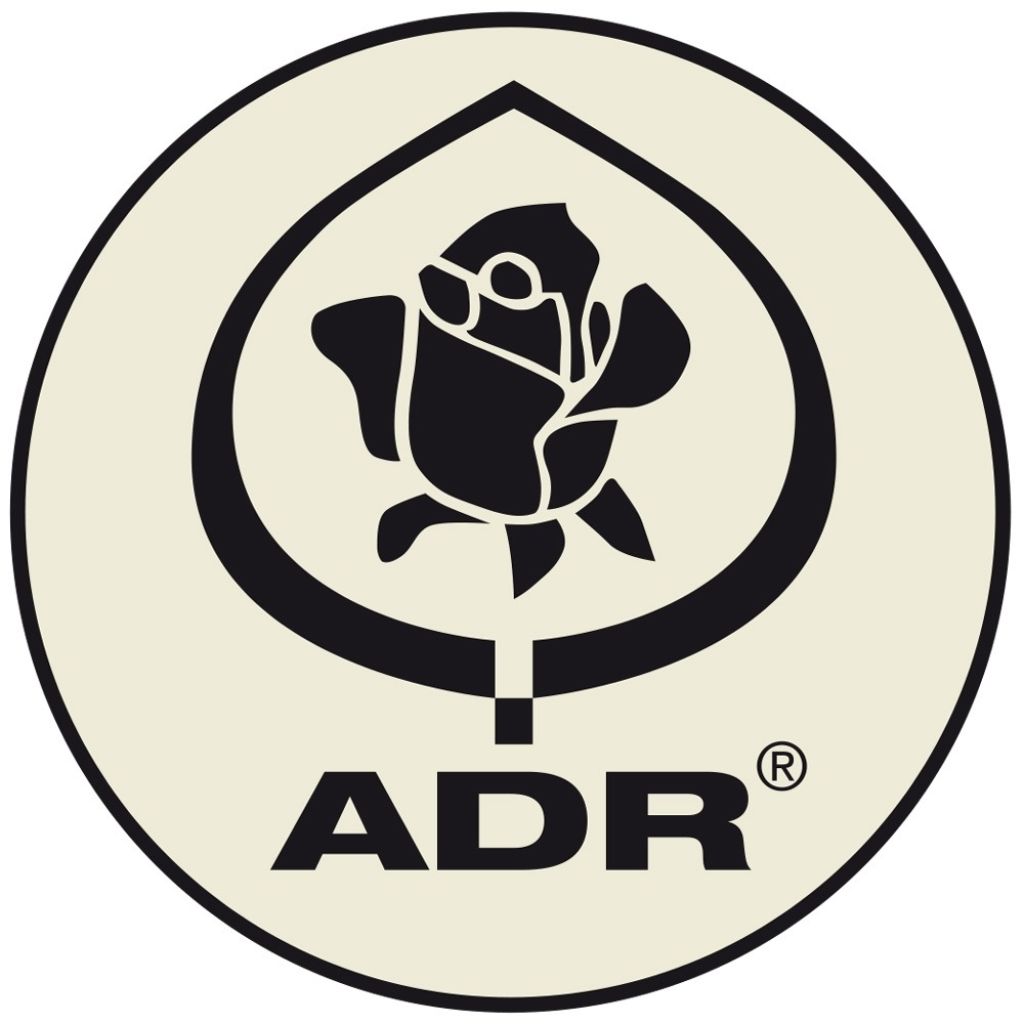 Roseira padrão Line Renaud