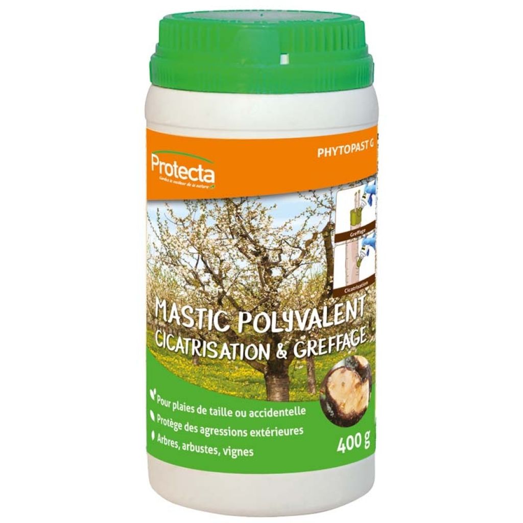 Massa de enxertia e de cicatrização flexível e polivalente Protecta