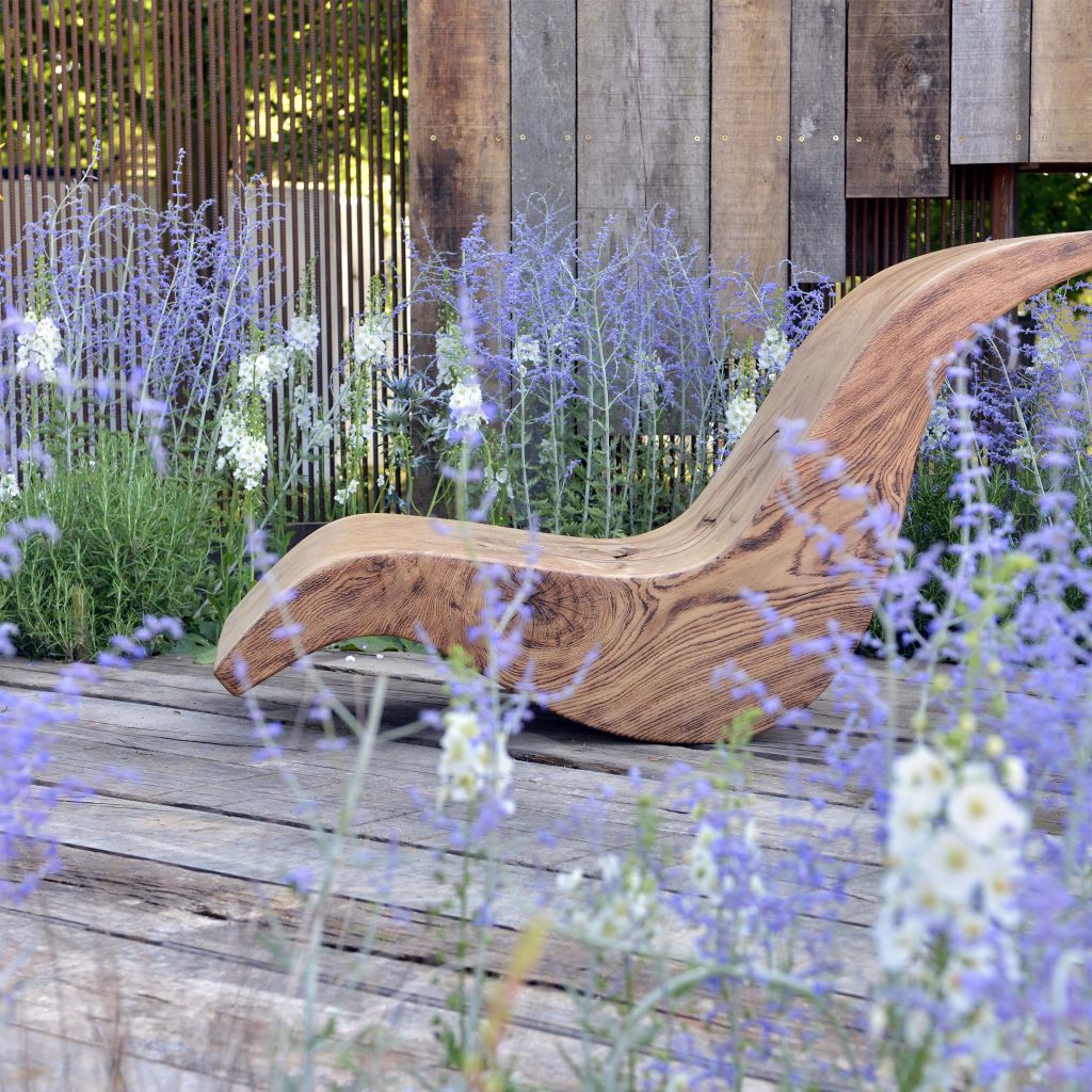 Perovskia atriplicifolia Blue Spire