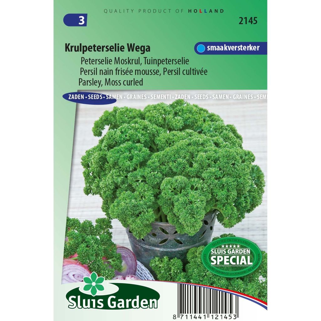 Salsa anã crespa Wega